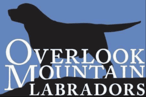Overlook Mt Labradors Logo - New York Labrador Retrievers Mark Rothe